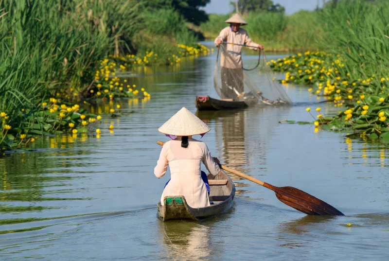 nguyên liệu chế biến bữa ăn luôn sẵn có
